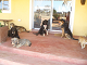 Click here to see the picture (Webpage2 062.JPG)